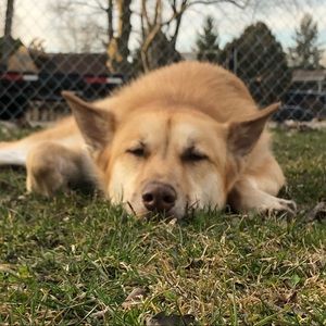 Meet your Posher, Morgan